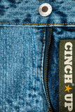 Cinch Green Label Original Fit Men's Jeans