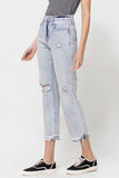 Beverley Super High Rise Relaxed Straight Vervet Jeans