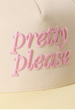 Pretty Please Hat